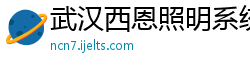 武汉西恩照明系统有限公司